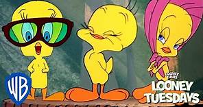 Looney Tuesdays | Tweety, an Icon for Everyone | Looney Tunes | @WB Kids