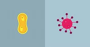 Che differenze ci sono tra batteri e virus?