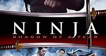 Ninja: Shadow of a Tear streaming: watch online