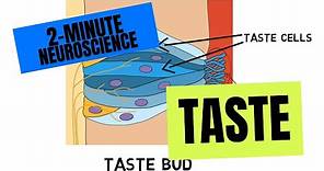 2-Minute Neuroscience: Taste