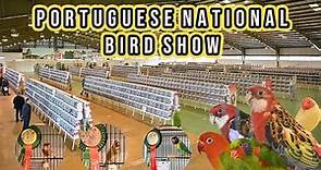 Portuguese National Bird Show - 5000+ birds in Competition