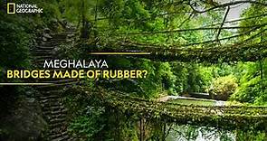Meghalaya - Bridges Made of Rubber? | India from Above | हिन्दी | National Geographic
