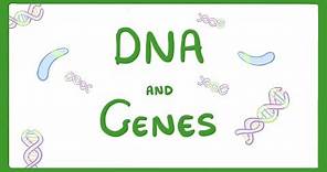 GCSE Biology - DNA Part 1 - Genes and the Genome #63