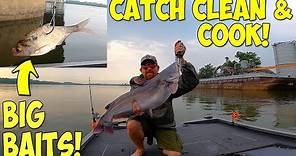 Arkansas River Catfishing With LIVE BAITS (Catch Clean & Cook)