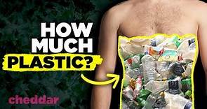 How Much Plastic Is Really In Our Bodies? - Cheddar Explains