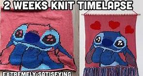 KNITTIMELAPSE Lilo and Stitch Tapestry | A Knit Time - Lapse of Lilo & Stitch