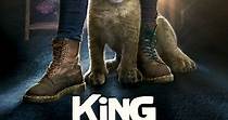 King, mi pequeño rey - Película - 2022 - Crítica | Reparto | Estreno | Duración | Sinopsis | Premios - decine21.com
