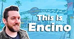 Living in Encino | EVERYTHING YOU NEED TO KNOW ABOUT ENCINO CALIFORNIA | Los Angeles Suburb