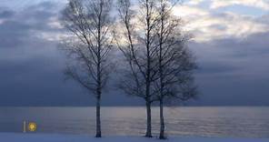 Nature: Winter in Minnesota