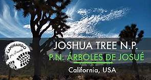 Joshua Tree National Park - Parque Nacional de los árboles de Josué - California