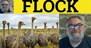 🔵 Flock Meaning - Flock Examples - Flock Defined - Noun and Verb - Flock