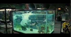 Piranha 3D - Official Trailer - 2010 [HD]