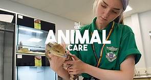 Study Animal Care at East Durham College's Houghall Campus in Durham