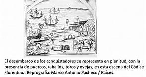 Agricultura y ganadería en la Nueva España - Historia Segundo de Secundaria