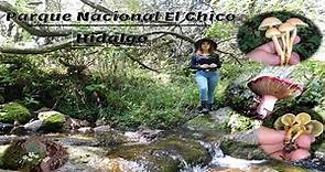 Parque Nacional El Chico, Hidalgo / Lugares favoritos