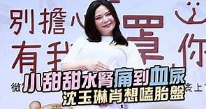 36歲小甜甜懷孕７月肚水腎痛到血尿 沈玉琳竟預約嗑她胎盤 | 台灣新聞 Taiwan 蘋果新聞網