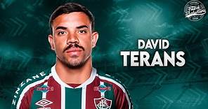 David Terans ► Bem vindo ao Fluminense ● 2024 | HD