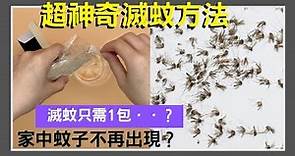 滅蚊只需放一包！蚊子死光光？？超簡單！安全又有效！滅蚊小妙招！滅蚊話咁易！｜DIY系列｜VNT輕鬆小棧