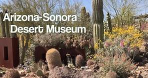 ARIZONA-SONORA DESERT MUSEUM