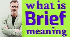 Brief | Meaning of brief