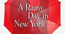 A Rainy Day in New York - watch streaming online