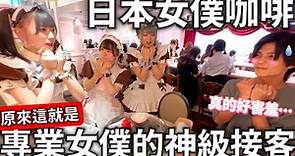 日本在地文化|日本女僕咖啡|專業女僕神級接客|真的好害羞|萌度破表|可愛到融化|日本生活