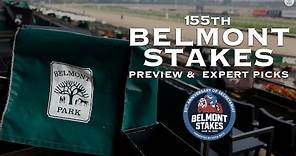 155th Running Of The Belmont Stakes: Preview & Expert Picks | CBS Sports
