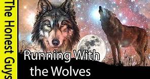 GUIDED MEDITATION STORY: Running With Wolves - Epic Meditation