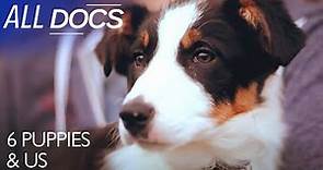 6 Puppies And Us | Pet Documentary | S01 E01 | All Documentary