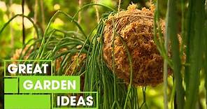 How to Make a Kokedama | Garden | Great Home Ideas