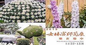 2019台北士林官邸菊花展-樂在菊中-開展囉(11/22-12/08)(JEFF 4K video)-Taipei Shilin official chrysanthemum #jeff0007