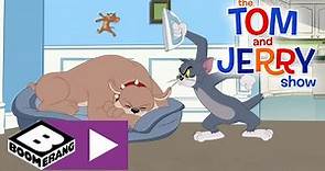 The Tom and Jerry Show | Downsizing | Boomerang UK