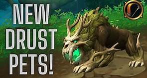 How to Tame New Thornbeast Hunter Pets | World of Warcraft 10.2+