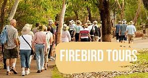 Firebird Tours - Your Gateway to Unforgettable Travel Experiences