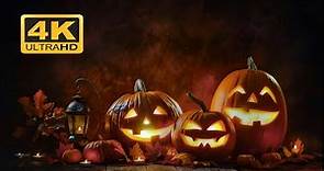 Fondo de Halloween con calabazas y linterna 4k - Halloween background with pumpkins and lantern 4k