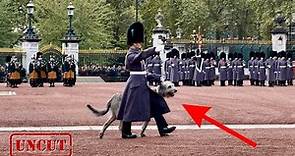The ENTIRE Buckingham Palace ‘Changing of the Guard ceremony’ FRONT ROW (SPECIAL GUEST)