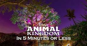 Explore Disney's Animal Kingdom in 5 Minutes