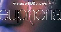 Euphoria - Ver la serie online completa en español
