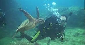 North Shore Scuba Diving, Oahu - Hawaii by Hawaii Eco Divers