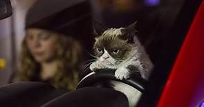 Grumpy Cat's Worst Christmas Ever (Starring Aubrey Plaza) Movie Review