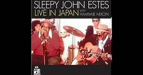 Sleepy John Estes - Live in Japan With Hammie Nixon