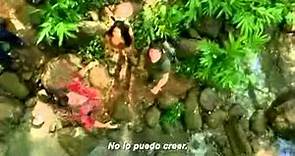 "Viaje 2: La Isla Misteriosa". Saludo + Trailer subtitulado. Oficial Warner Bros. Pictures (HD)