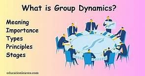 What is Group dynamics? | Meaning, Types, Importance, Stages