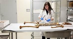 What These Human Skeletal Remains Tell Anthropologists