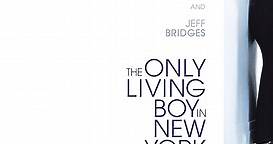 The Only Living Boy in New York (2017)