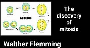 The discovery of mitosis: Walther Flemming