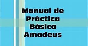 Manual didáctico del Programa AMADEUS (BÁSICO)