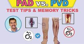PAD vs PVI cartoon animation & memory tricks peripheral arterial disease pathophysiology, signs