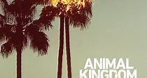 Animal Kingdom temporada 1 - Ver todos los episodios online