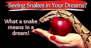 What a Snake Means in a Dream/Biblical Dream Interpretation!